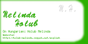 melinda holub business card